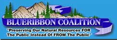 Blue Ribbon Coalition logo