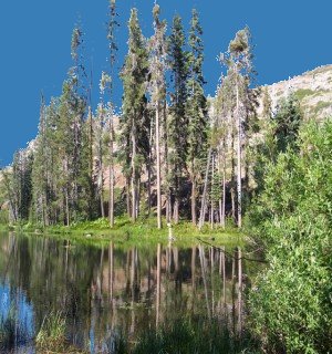 frontpic.jpg - Long Lake