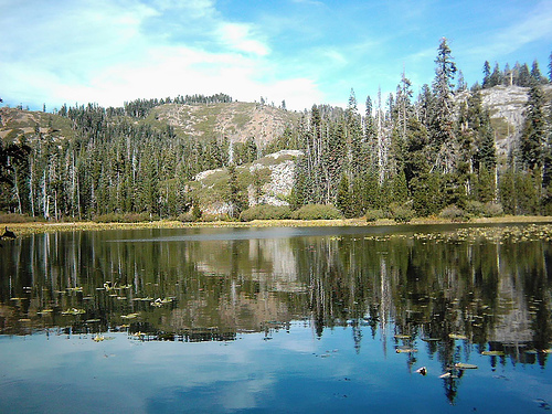 Grassy Lake