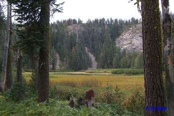 Bear Lake