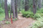 Closure at Frying Pan falls