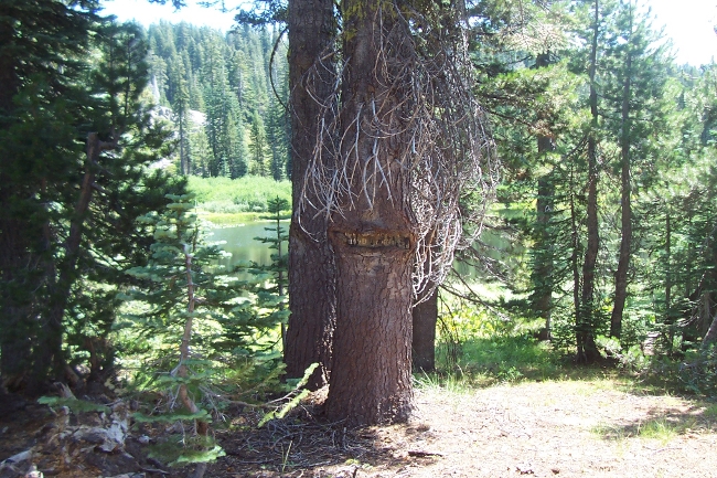 Mud Lake 03