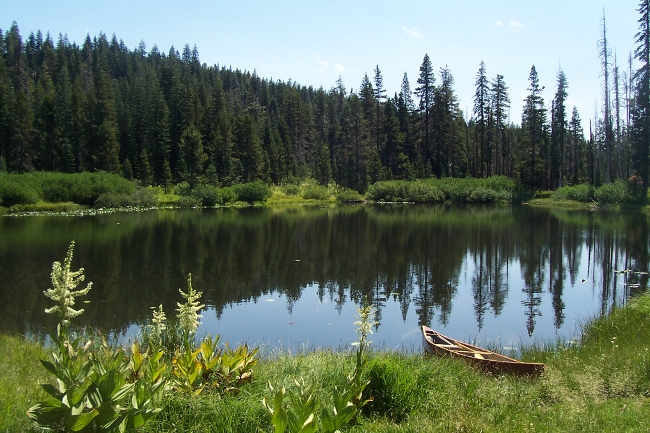 Mud lake 04